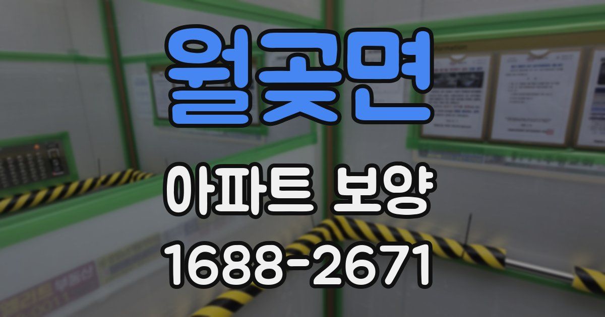 월곶면 아파트 보양