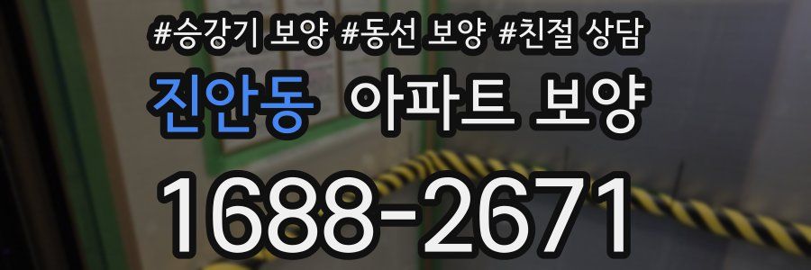 진안동 아파트 보양