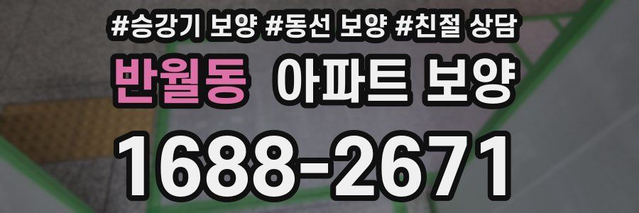반월동 아파트 보양