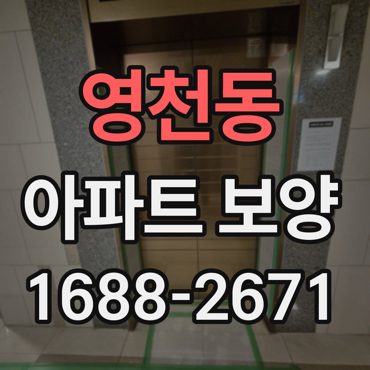 영천동 아파트 보양