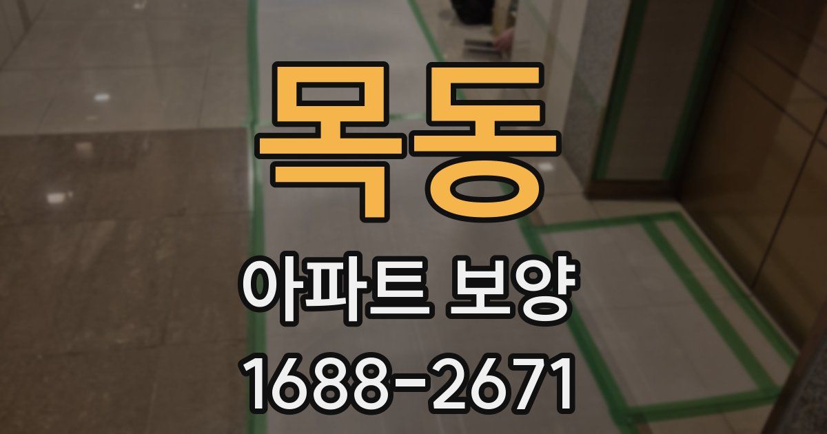 목동 아파트 보양