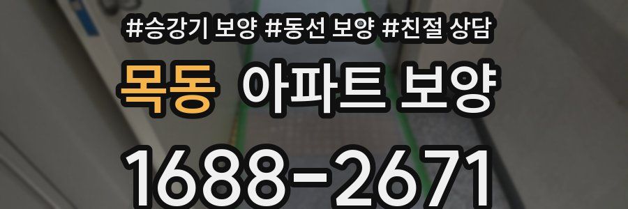 목동 아파트 보양