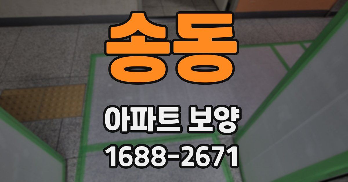 송동 아파트 보양
