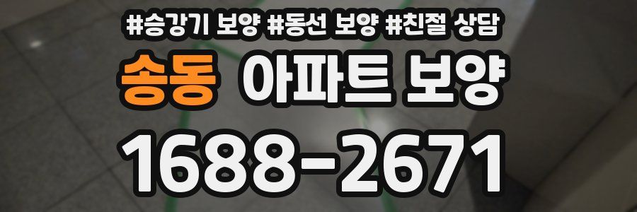 송동 아파트 보양