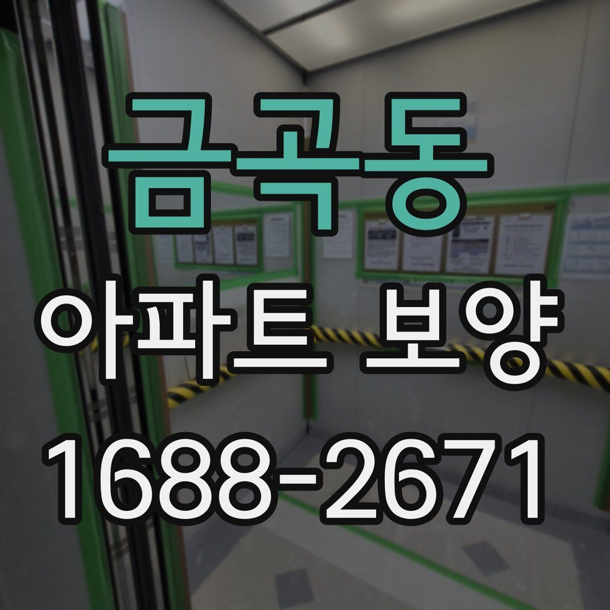 금곡동 아파트 보양 공정 선택에 도움 되는 판단 기준