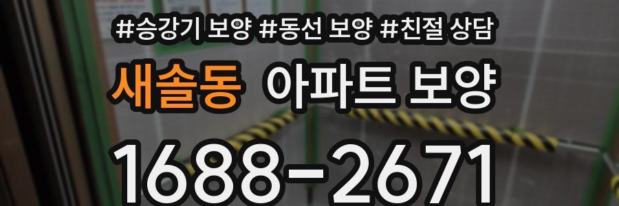 새솔동 아파트 보양