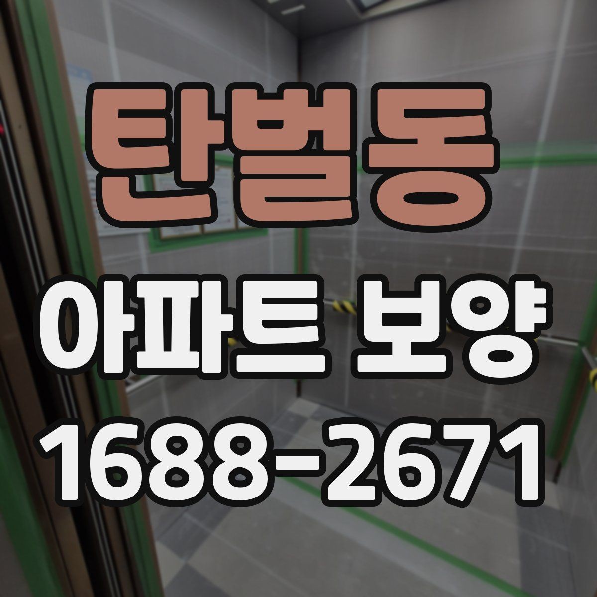 탄벌동 아파트 보양 범위는 어디까지 필요한가