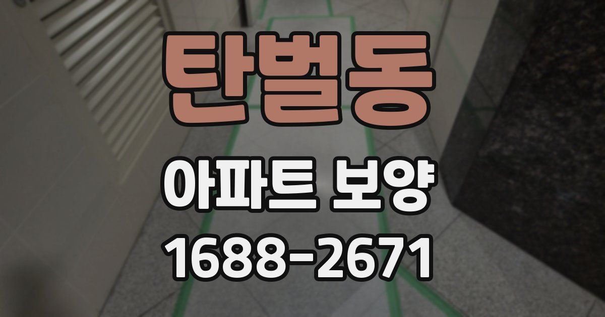 탄벌동 아파트 보양