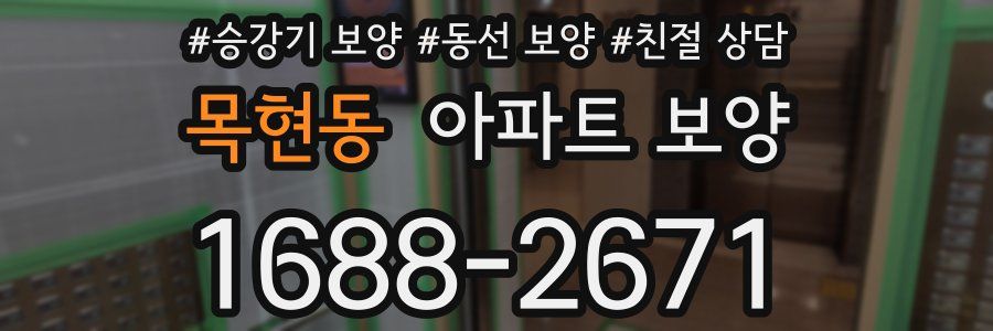 목현동 아파트 보양