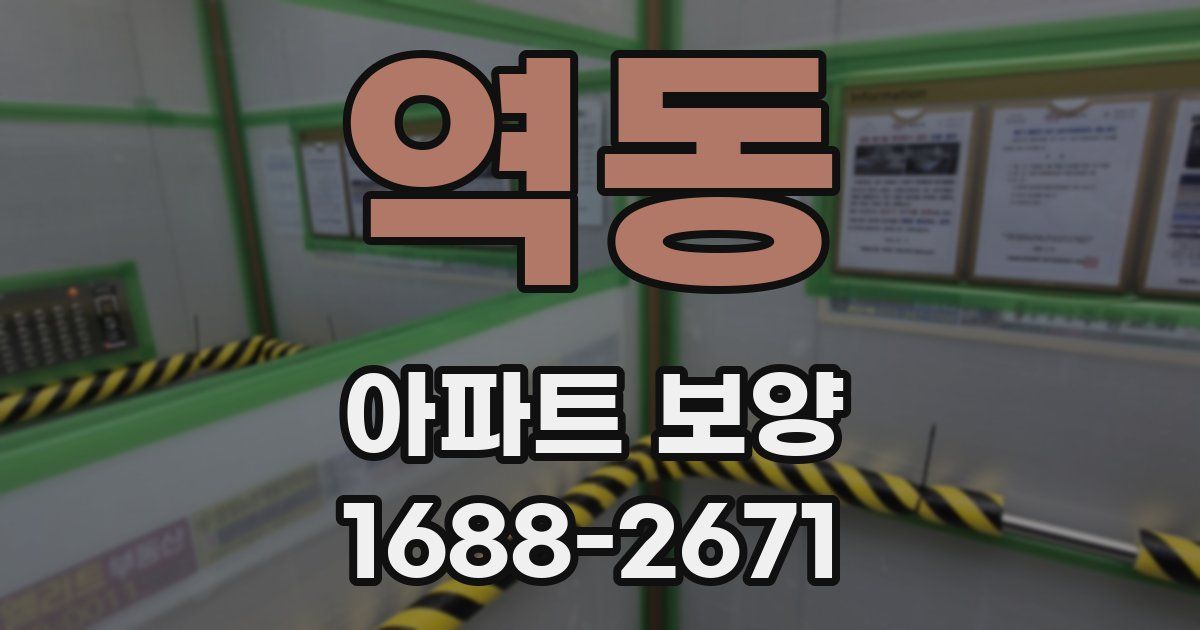 역동 아파트 보양