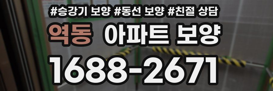 역동 아파트 보양