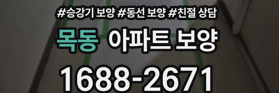 목동 아파트 보양