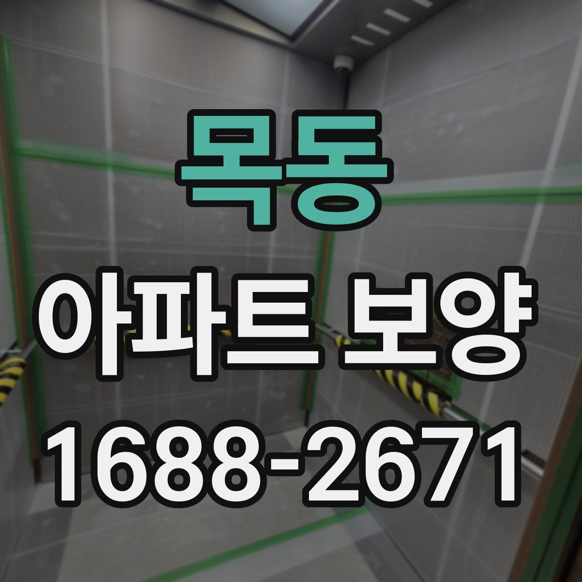 목동 아파트 보양