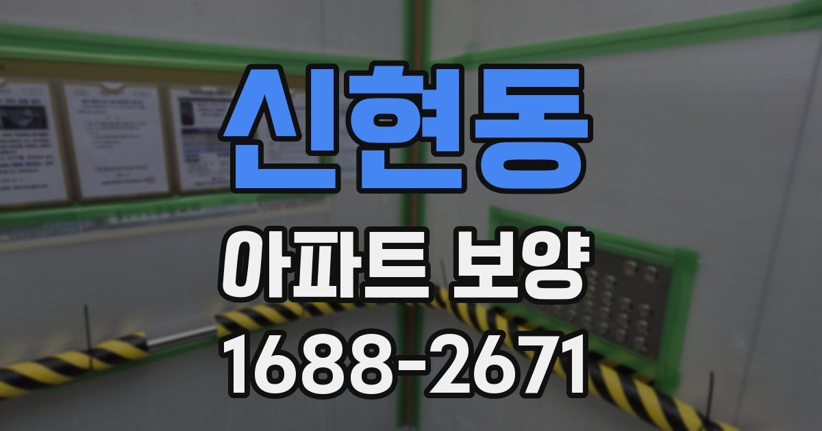 신현동 아파트 보양