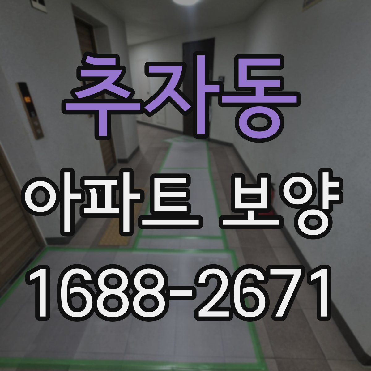 추자동 아파트 보양