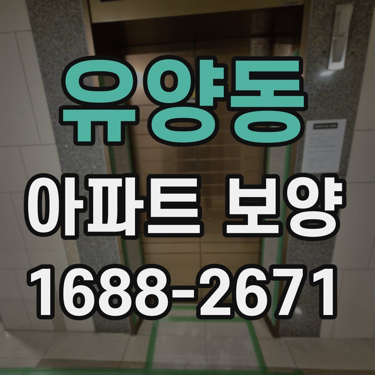 유양동 아파트 보양