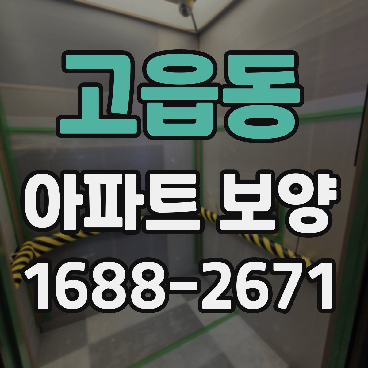 고읍동 아파트 보양