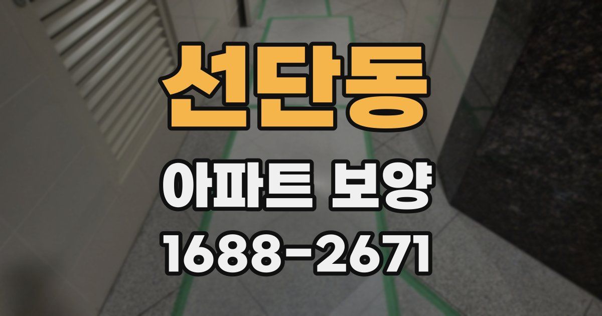 선단동 아파트 보양