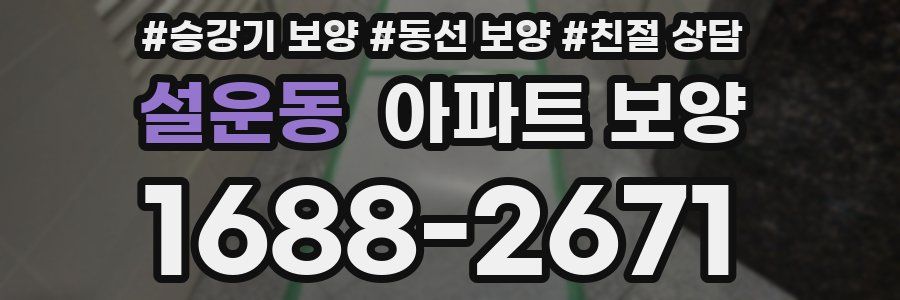 설운동 아파트 보양