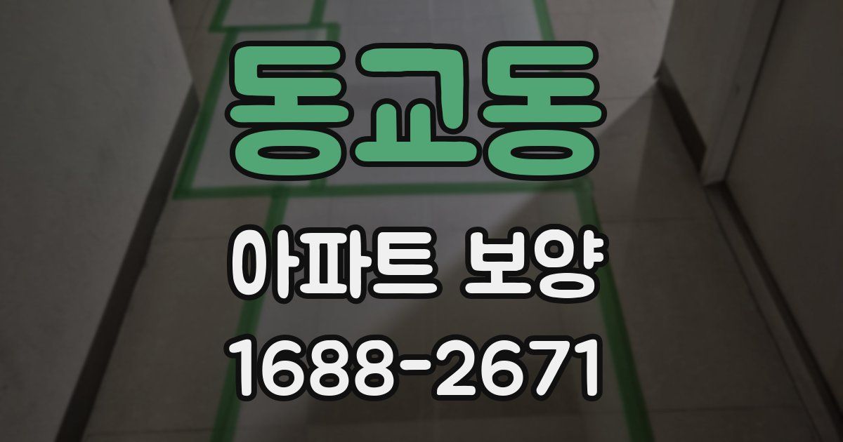 동교동 아파트 보양