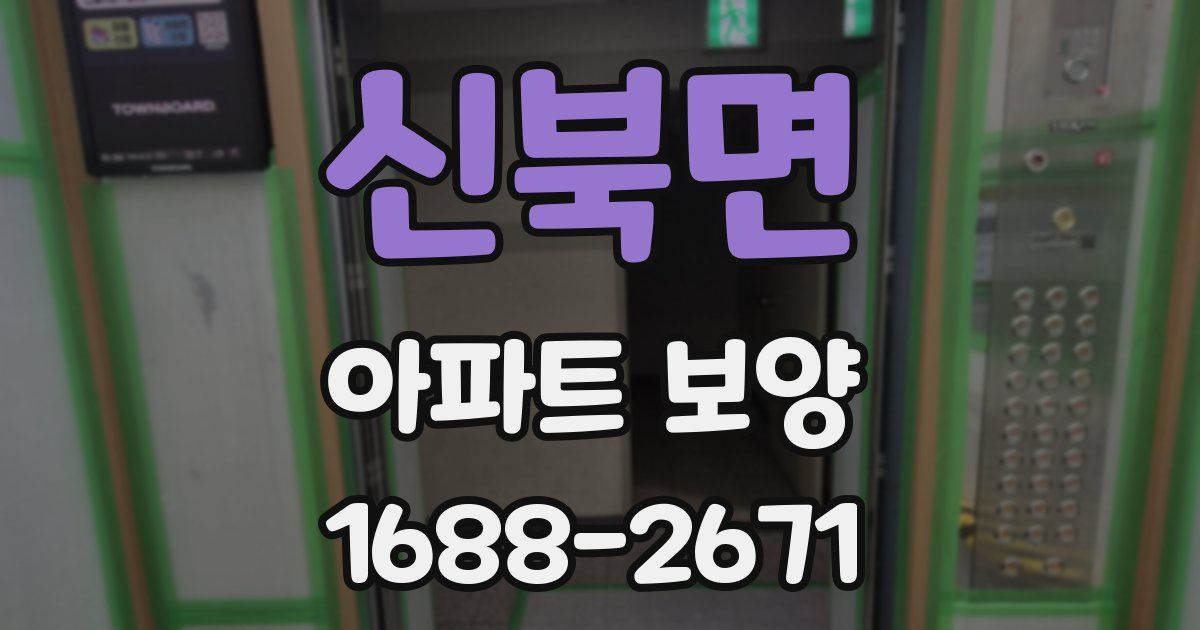 신북면 아파트 보양