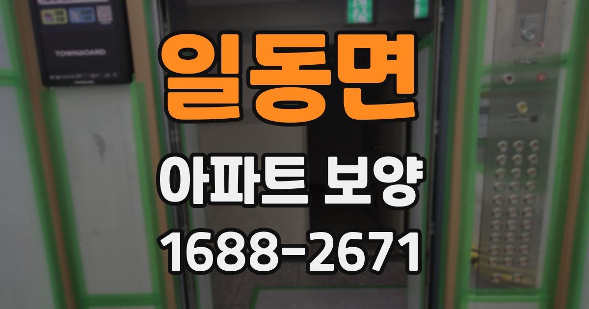 일동면 아파트 보양