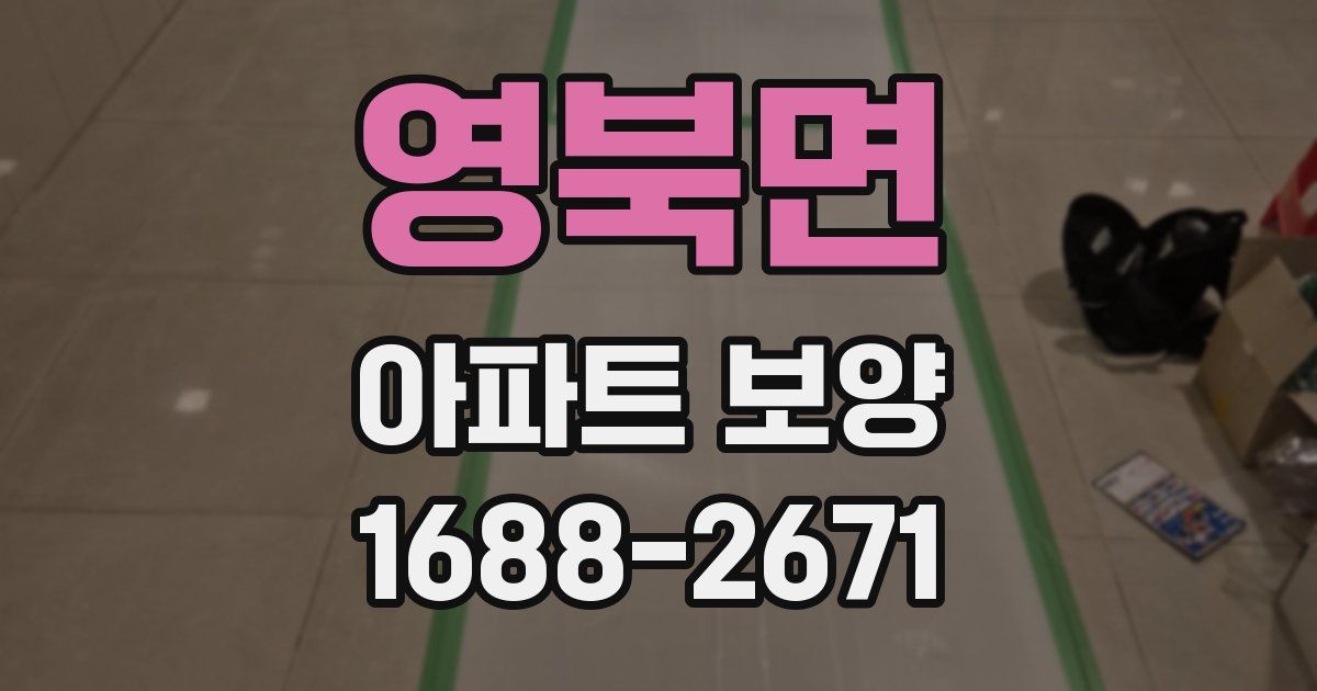 영북면 아파트 보양