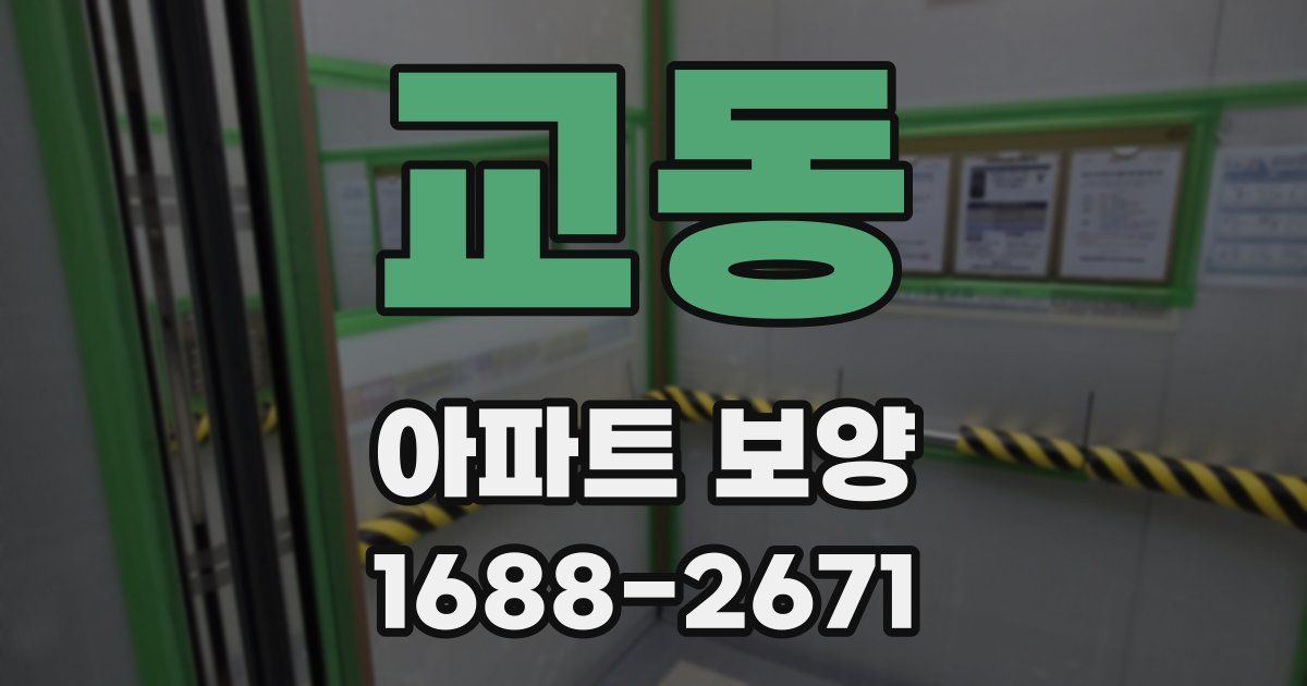 교동 아파트 보양