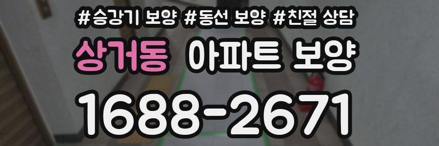 상거동 아파트 보양