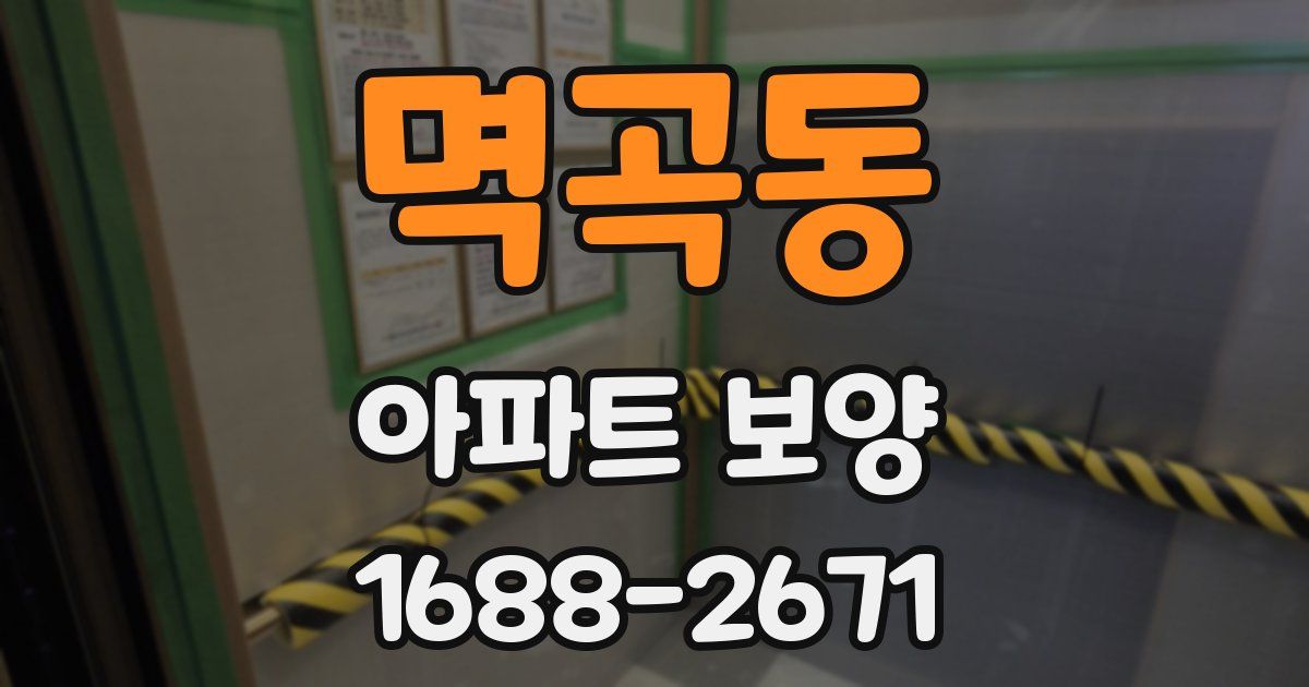 멱곡동 아파트 보양