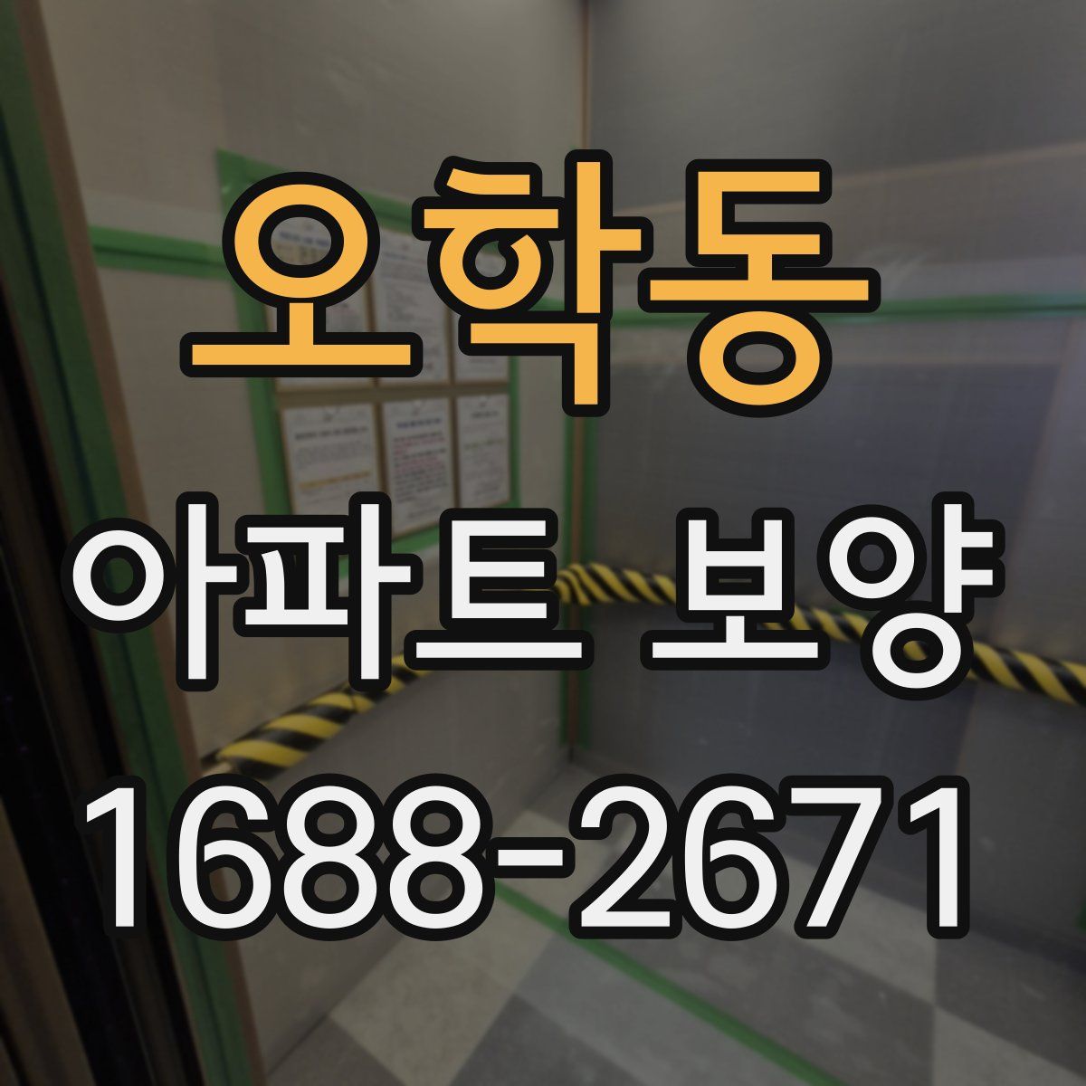 오학동 아파트 보양