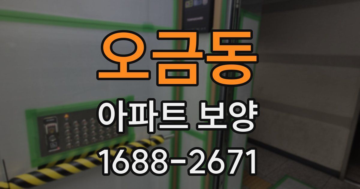 오금동 아파트 보양