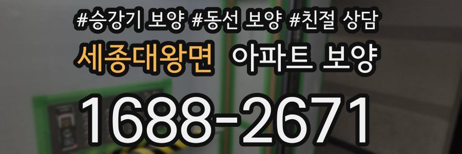 세종대왕면 아파트 보양