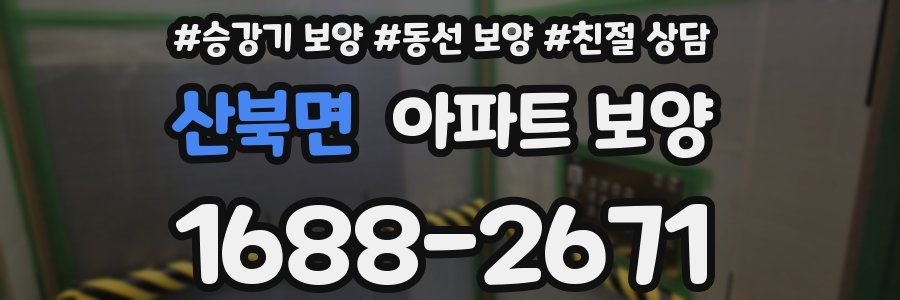 산북면 아파트 보양