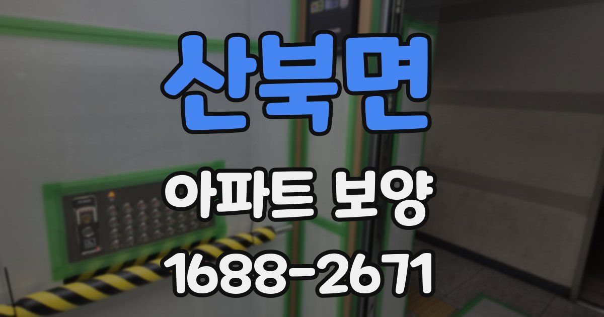 산북면 아파트 보양