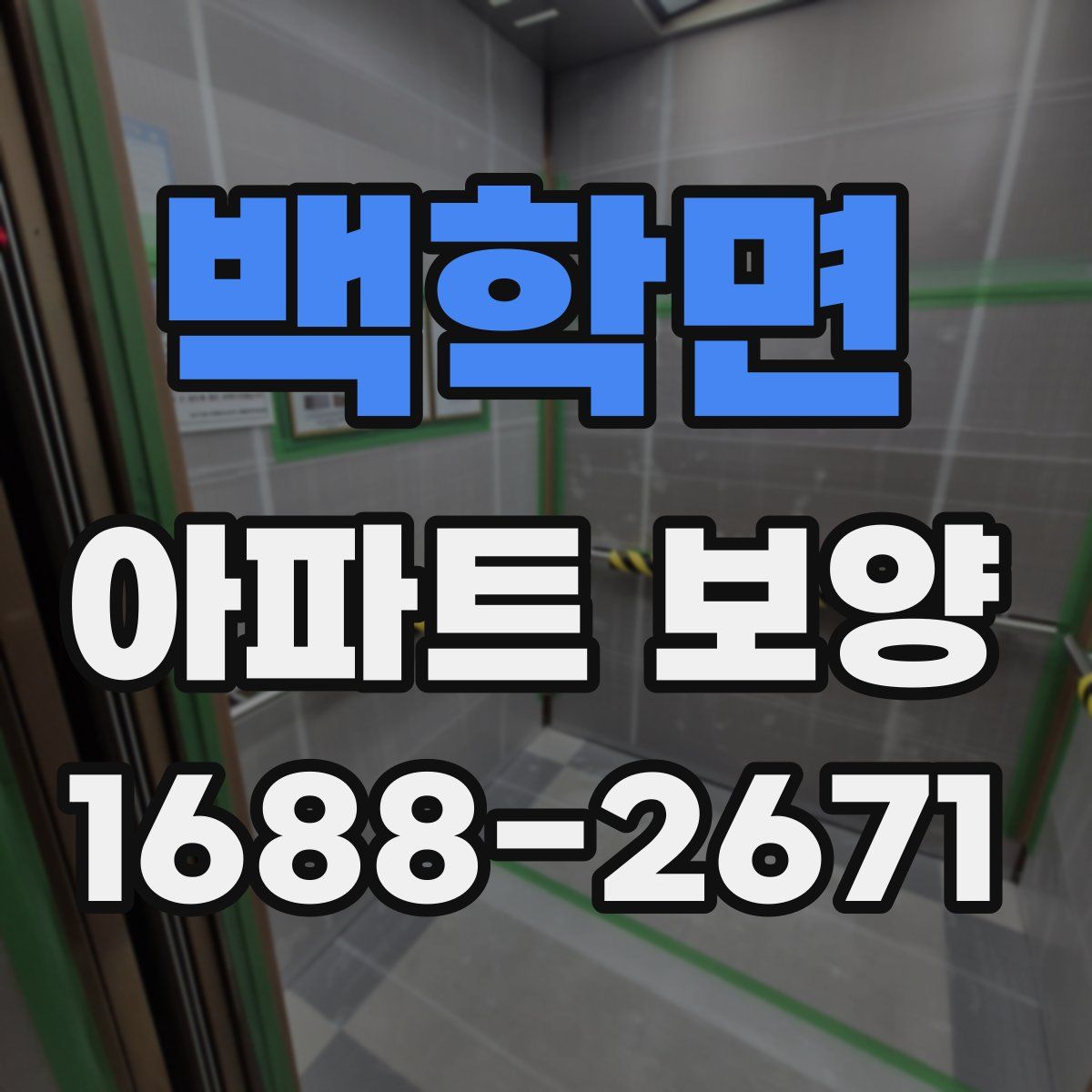 백학면 아파트 보양