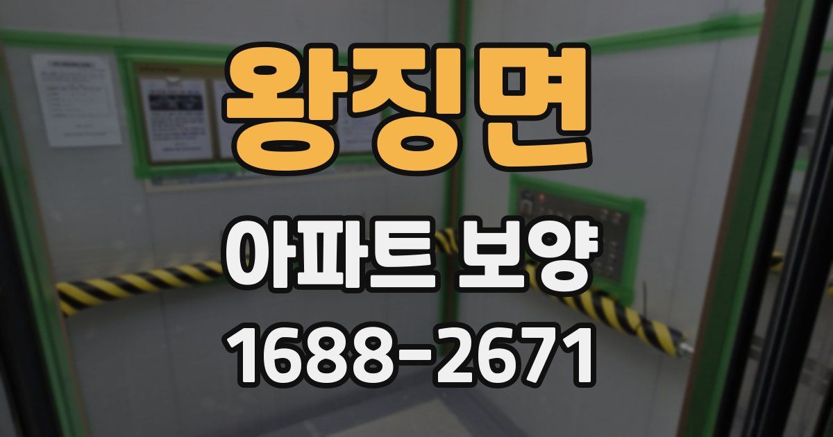 왕징면 아파트 보양