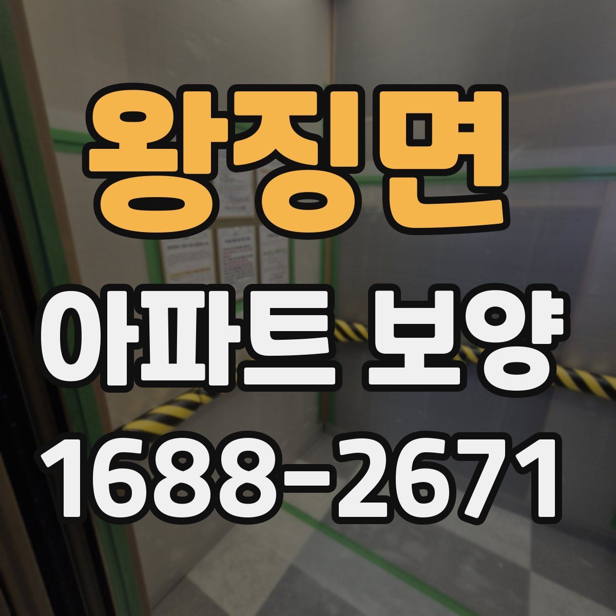 왕징면 아파트 보양