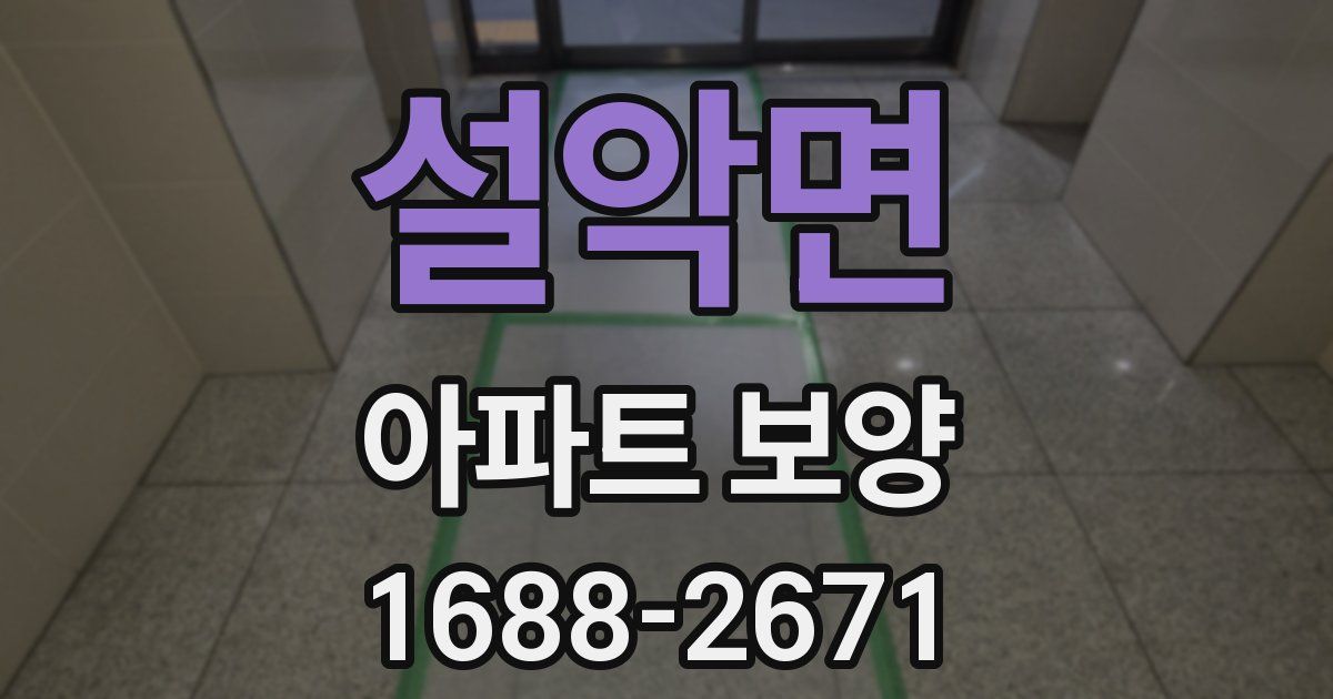 설악면 아파트 보양