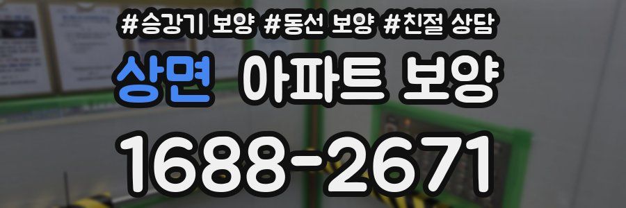상면 아파트 보양