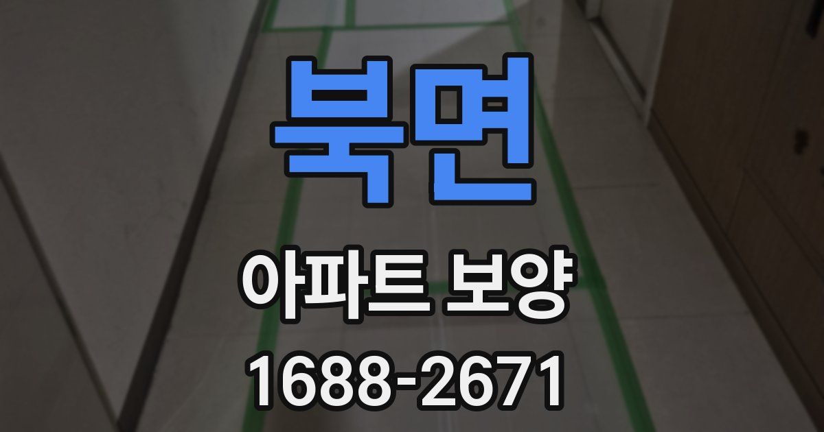 북면 아파트 보양