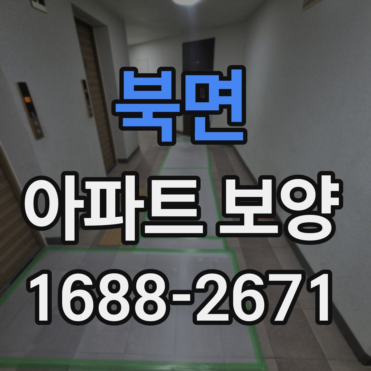 북면 아파트 보양