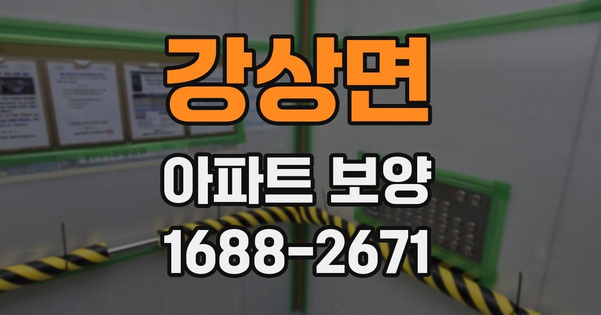 강상면 아파트 보양