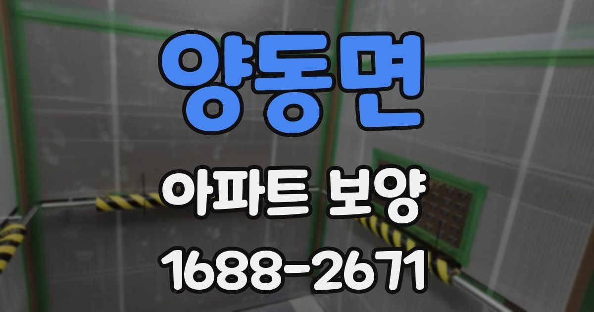 양동면 아파트 보양