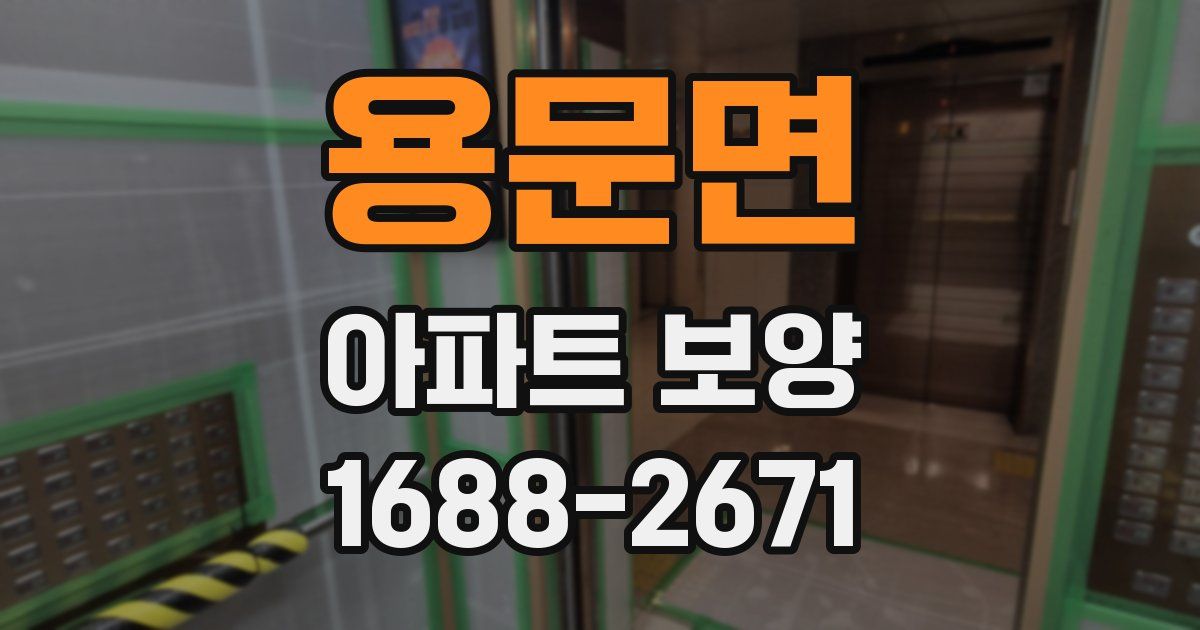 용문면 아파트 보양