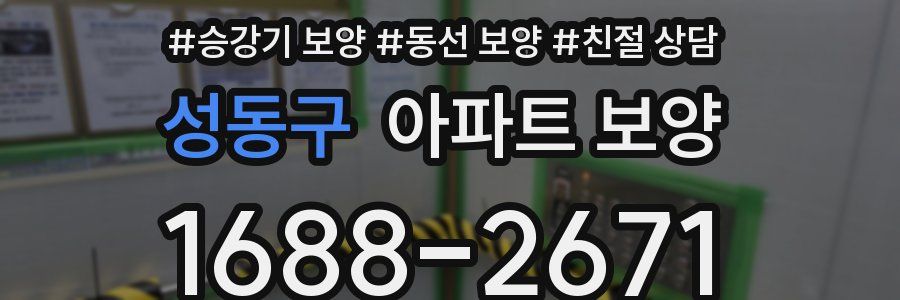성동구 아파트 보양