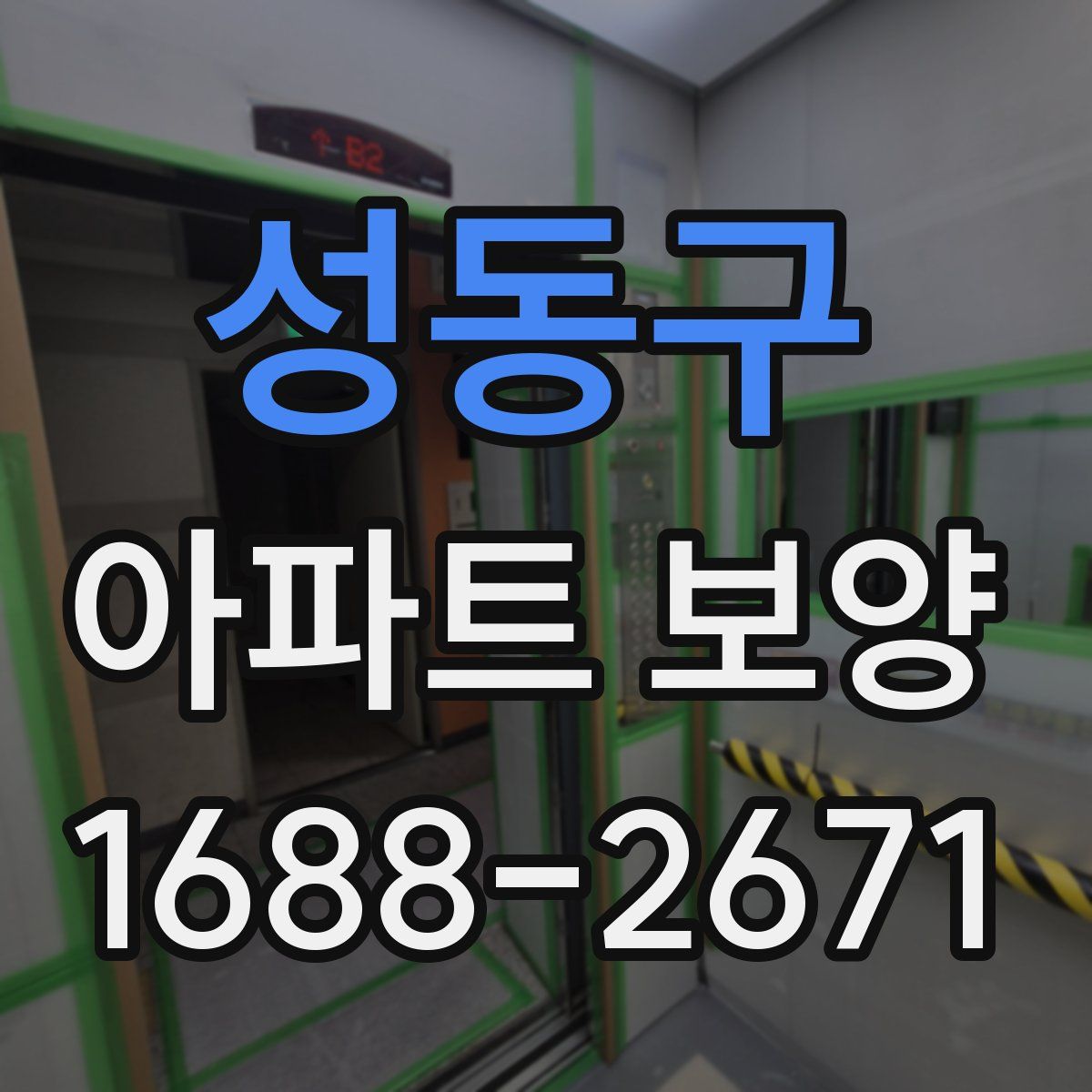 성동구 아파트 보양
