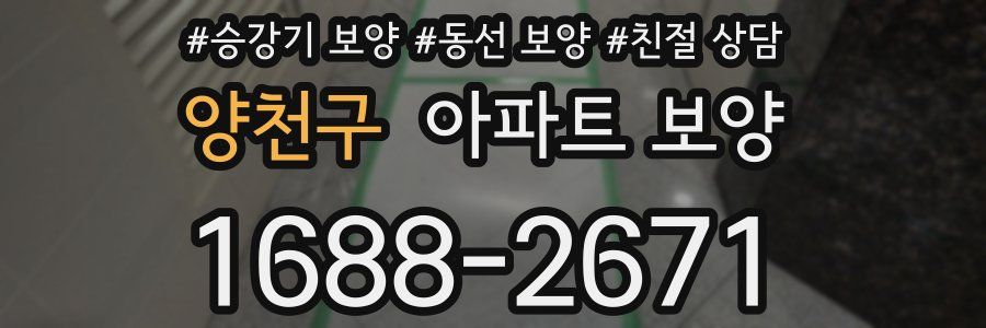양천구 아파트 보양