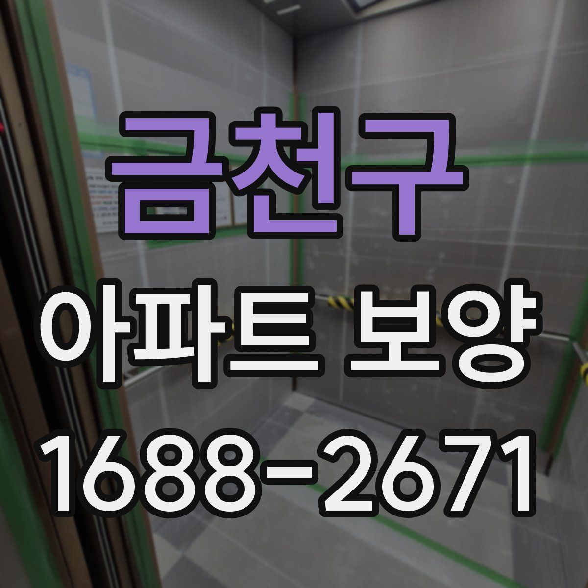 금천구 아파트 보양
