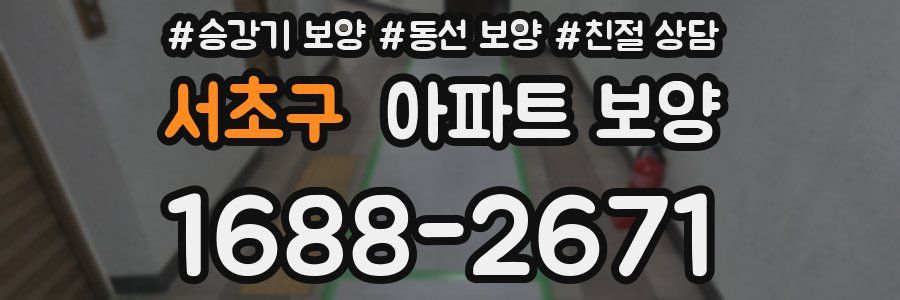서초구 아파트 보양
